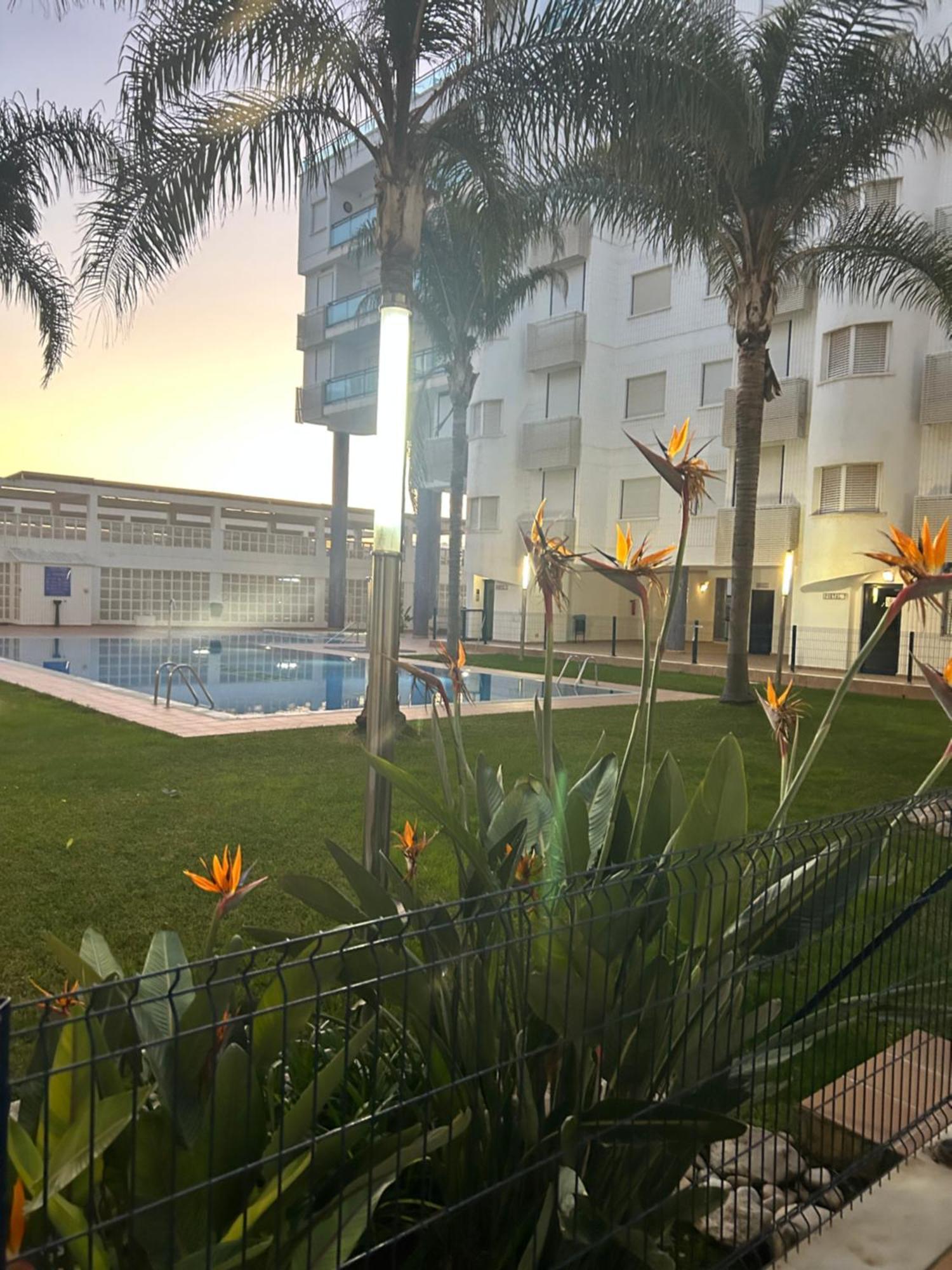 Sunny Apartment Daimus Ngoại thất bức ảnh